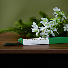 Load image into Gallery viewer, Art of Radiance Incense Sticks - Endless Esthetiques

